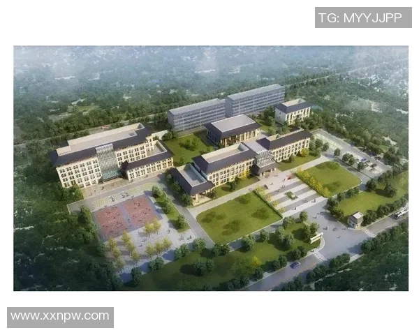 挺举项目成绩公告及相关信息发布通知与解读